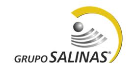 grupo-salinas